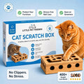 Interactive Cat Nail Filing Puzzle Box